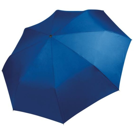 Opvouwbare mini-paraplu