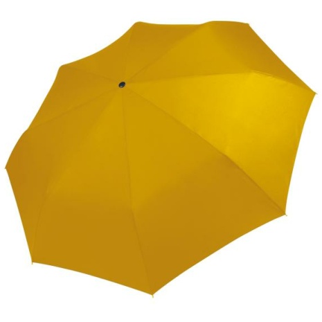 Opvouwbare mini-paraplu