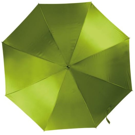 Automatische paraplu