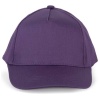 PS_KP149-2_PURPLE