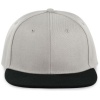 Pet Snapback - 6 panelen