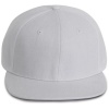 Pet Snapback - 6 panelen