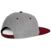 Pet Snapback - 6 panelen