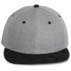 Pet Snapback - 6 panelen