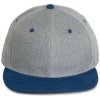 Pet Snapback - 6 panelen